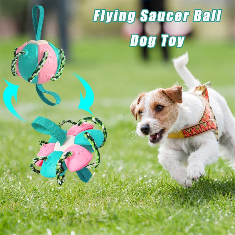 Interactive Inflatable Dog Soccer Ball Toy