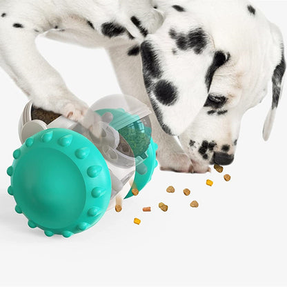 Interactive Slow Feeder Balance Toy