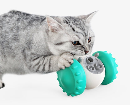 Interactive Slow Feeder Balance Toy