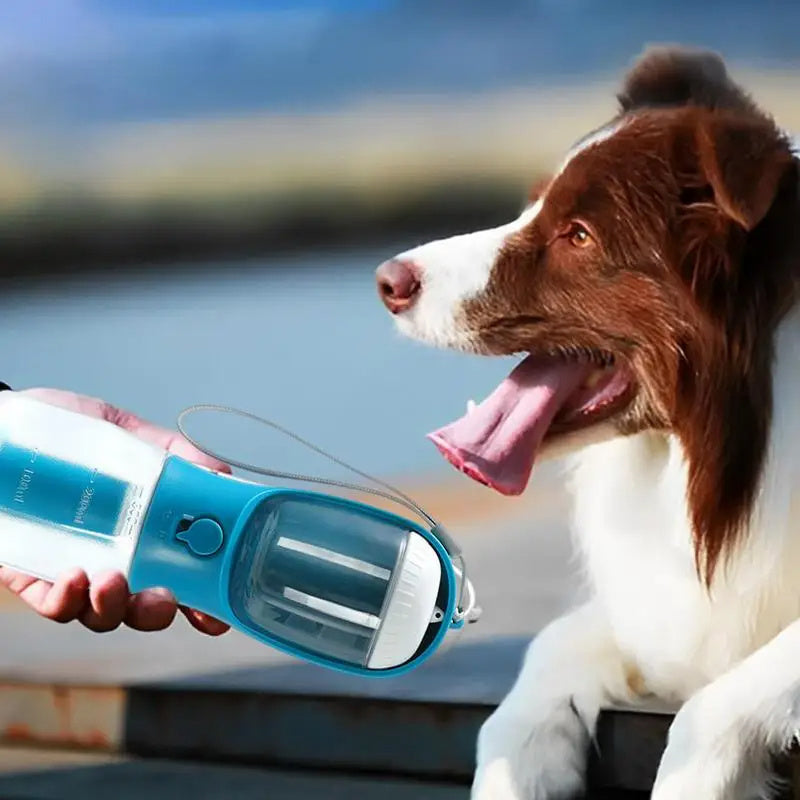 Three-in-One Portable Dog Water Cup