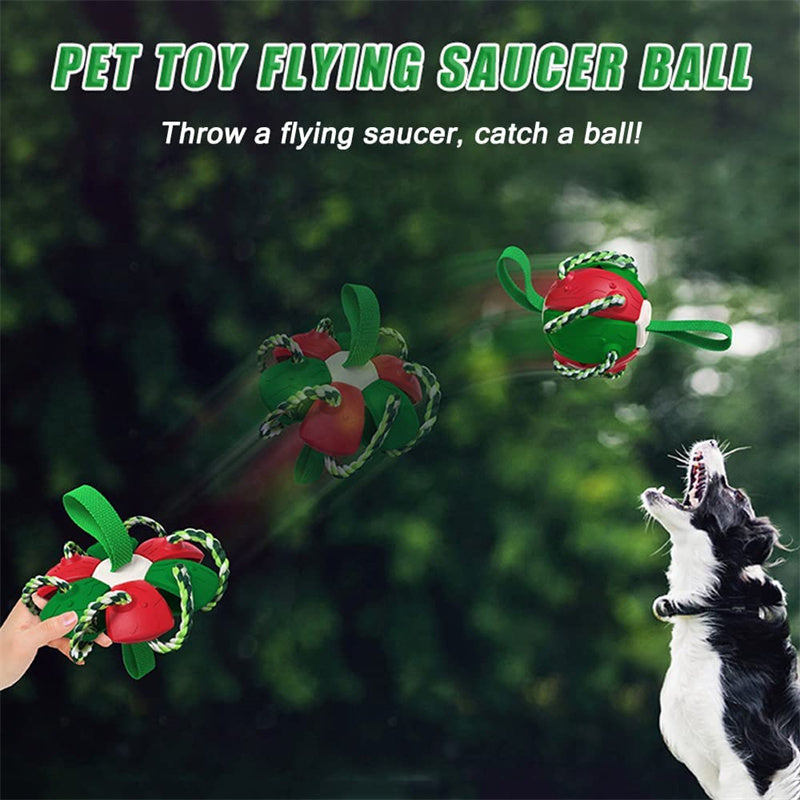Interactive Inflatable Dog Soccer Ball Toy