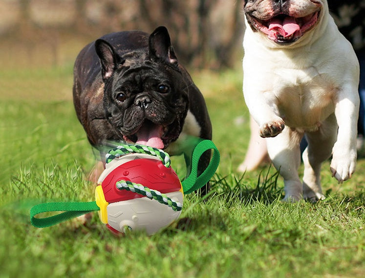 Interactive Inflatable Dog Soccer Ball Toy